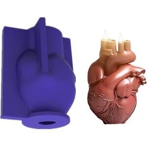 Heart Mould Silicone Soap, Candle or Baking DIY Crafting Human Heart NEW